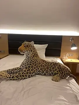 Stripchat Sex Cam of Hannah-2007