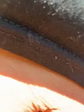 Stripchat Best Webcam of Bigbuttbrooklynn