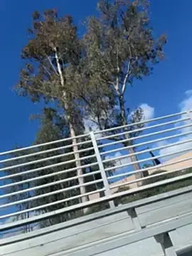 Stripchat Sex Cam of Bigbuttbrooklynn