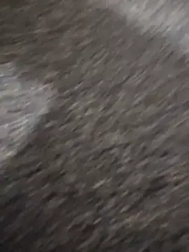 Stripchat Sex Chat of Boytesudoo