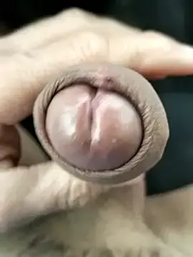 Stripchat Free Live Porn of pegaso369