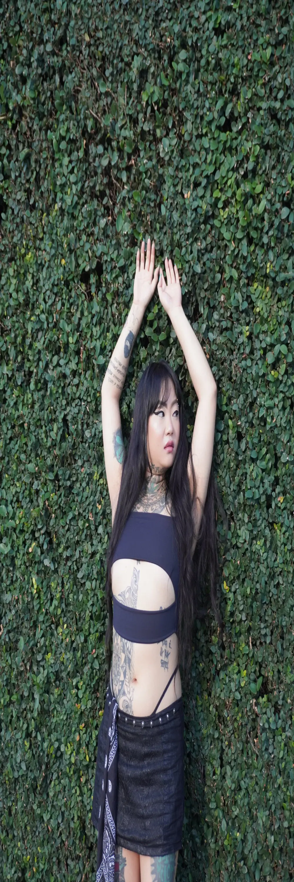 ChinesaTropical
