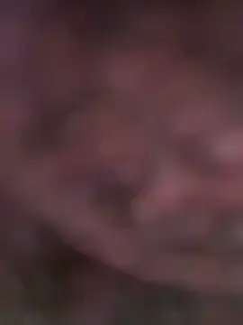 Stripchat Free Porn Cam of SEXaddictCANDY10