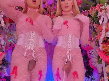 Stripchat Live Sex of SpicySluts
