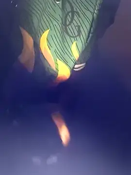 Stripchat Best live sex cam show of Swit_virgin22