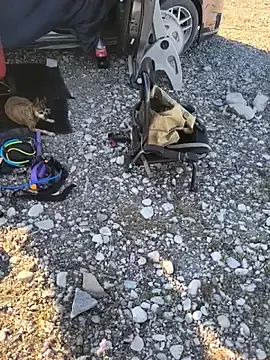 Stripchat Free Porn Cam of FloppyPickle4u