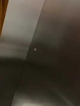 Stripchat Best Webcam of TheKingThiago