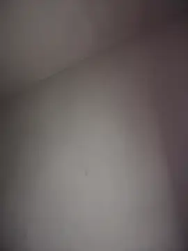 Stripchat Adult Webcams of DulceLenns