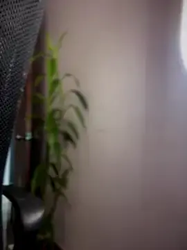 Stripchat Live Sex of DulceLenns