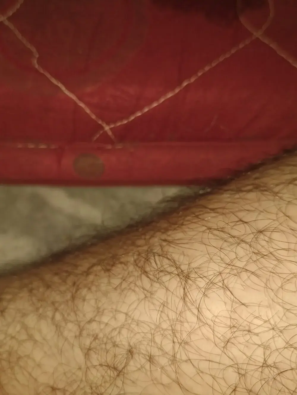 Lushhairyboy11
