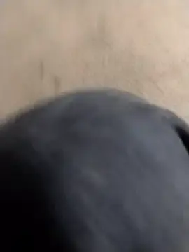 Stripchat Sex Chat of Bigdickdaddy3024