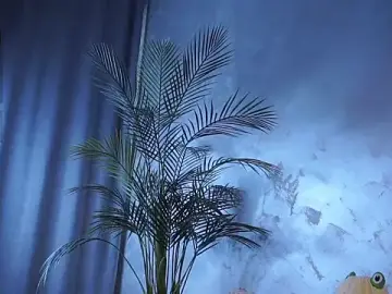 Stripchat Adult Webcam of EdlinHargus