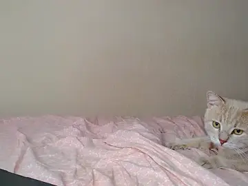 Stripchat Free Porn Cam of Just_alice