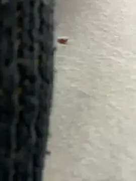 Stripchat Live Sex of melissa_grr