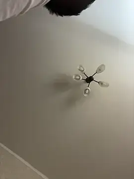 Stripchat Live Sex Cam of Poly_Nick