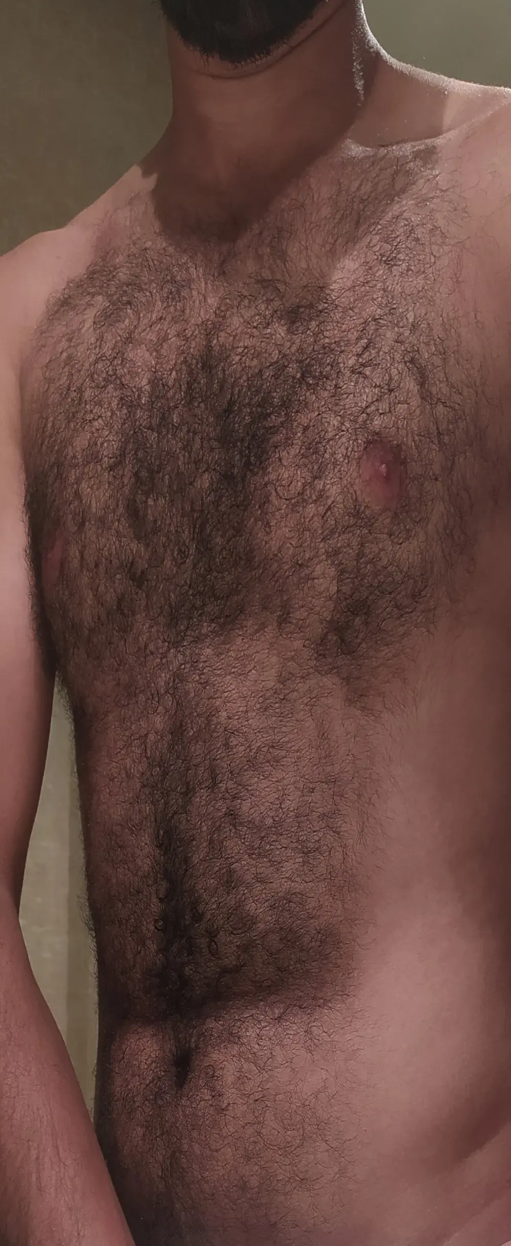 Hairyarabguy