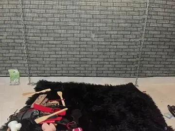 Stripchat Best live sex cam show of hillary_bigbutt