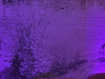 Stripchat Best live sex cam show of YamiraKim