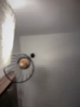 Stripchat Private Sex Chat of Saorii_kiido