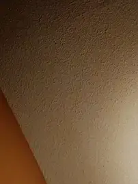 Stripchat Best Webcam of MrSugarballs