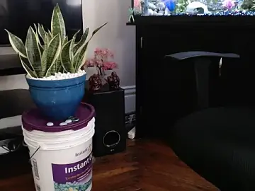 Stripchat Free Porn Cam of EspanolVato