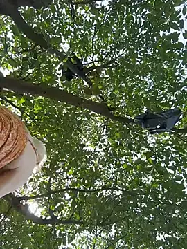 Stripchat Live Porn of AmmyHot