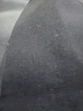 Stripchat Best Webcam of Ariana-07