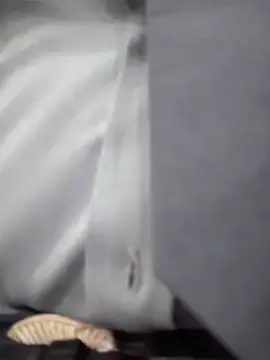 Stripchat Live Porn of Ariana-07