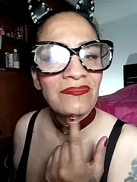 Stripchat Free Porn Cam of Taylor-hardcore