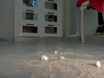 Stripchat Private Sex Chat of Sky_Wild