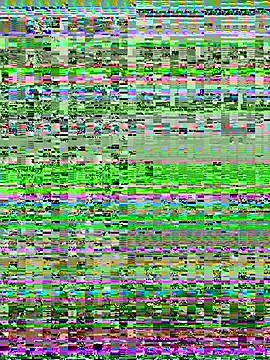 Stripchat Private Sex Chat of RaisaSalvi