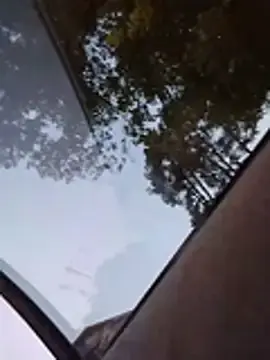 Stripchat Best Webcam of Biknight