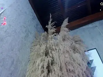 Stripchat Best Webcam of Lena_helleen