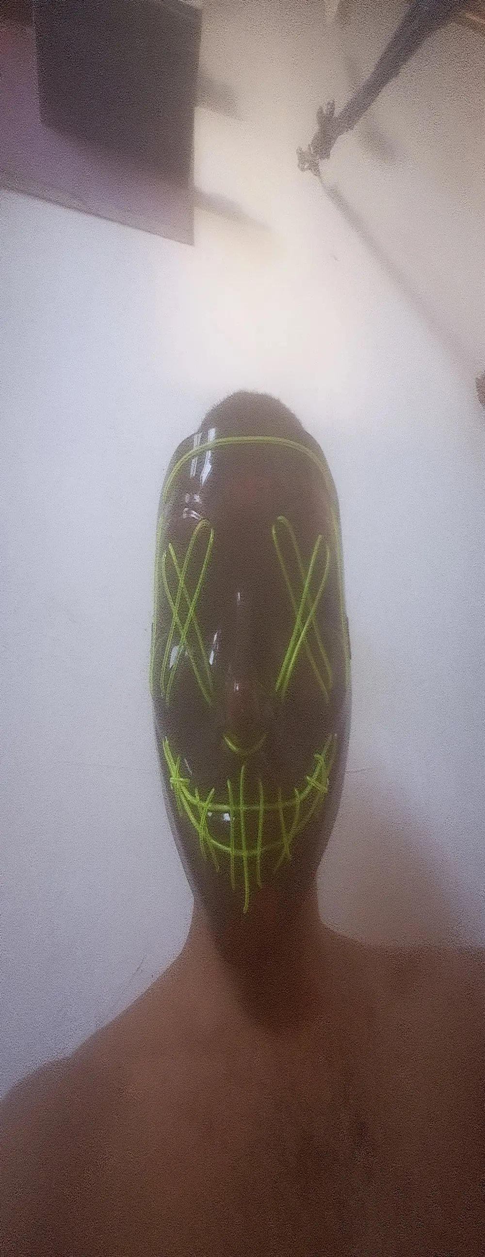 Pau_Peludo_Barreiras-BA