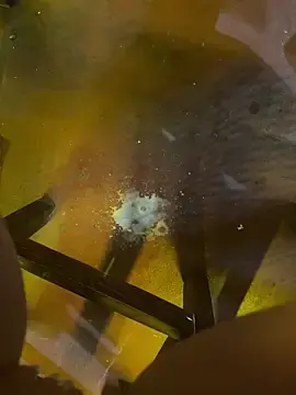 Stripchat Live Porn of South_Carolina