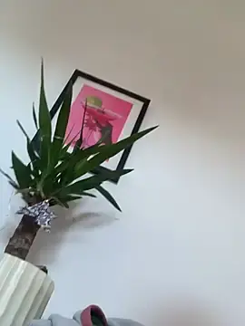 Stripchat Adult Video Chat of AlitaNova