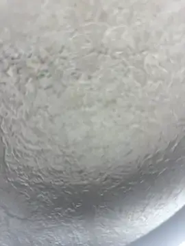 Stripchat Adult Webcam of Evellyn