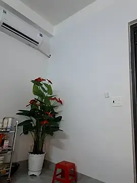 Stripchat Watch Live Sex Cams of passionate_sluts