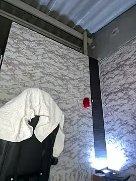 Stripchat Adult Webcam of AlisSon__hot