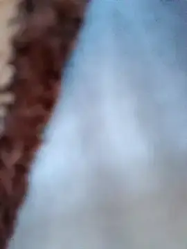 Stripchat Live Sex Cam of kata-00