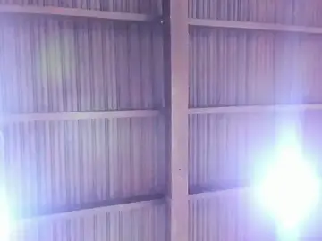 Stripchat Watch Live Sex Cams of Camila__Gomez