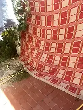 Stripchat Adult Webcams of alicetgirlbr