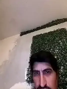 Stripchat Best Webcam of Arce92