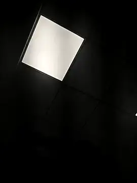 Stripchat Sex Cam of Nickk31