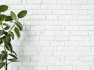 Stripchat Live Sex Cam of pipeFRIAS