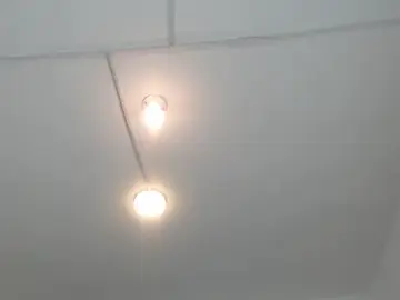 Stripchat Free Live Porn of PhillipCox