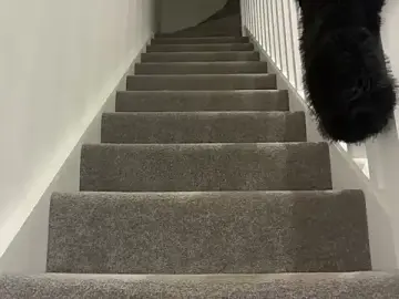 Stripchat Nude Webcam of lolableux