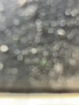 Stripchat Sex Cam of mikimakim