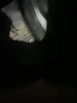 Stripchat Best Webcam of joel852