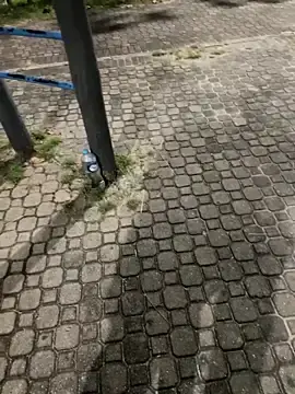 Stripchat Best Webcam of joel852